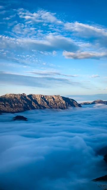 Это круто изменит твою жизнь👇 Все подробности по ссылке
#верьвсебя #мечтаицель #вдохновение #силамы смотреть онлайн