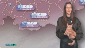 Котопогода Катунь 24