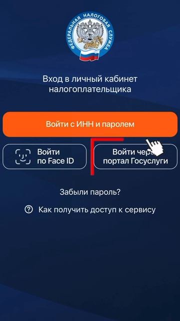 1 декабря срок уплаты налогов.