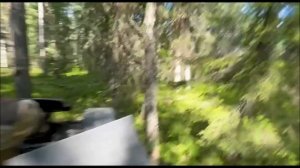 Опасное путешествие через лесной массив в ХМАО. Часть 1.