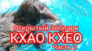 Ч.2- почему свистит СЛОН? У тигров сабай/ Орангутан артист/