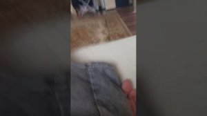 вызвали гномика