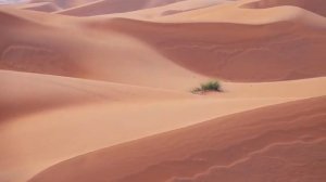 Самая богатая и безопасная страна в которой нет туристов