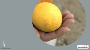 Фамилия Абдулгалимова: история, происхождение и значимость. Узнайте о склонении и секретах этого