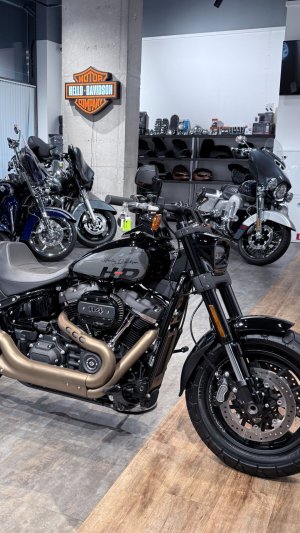 2023 HD Fat Bob 114 Vivid Black & Nardo Gray