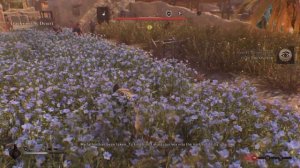 Assassin's Creed: Mirage Valley Of Memory [DLC] (2025) [PS5 Pro]