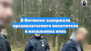 В Ногинске задержали предполагаемого похитителя и насильника нянь
