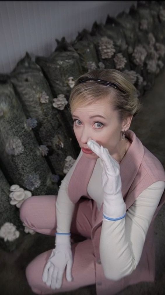 Как легко вырастить грибы у себя на участке?