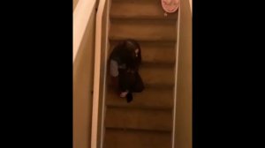 Отец пугает подруг дочери - 2020 год