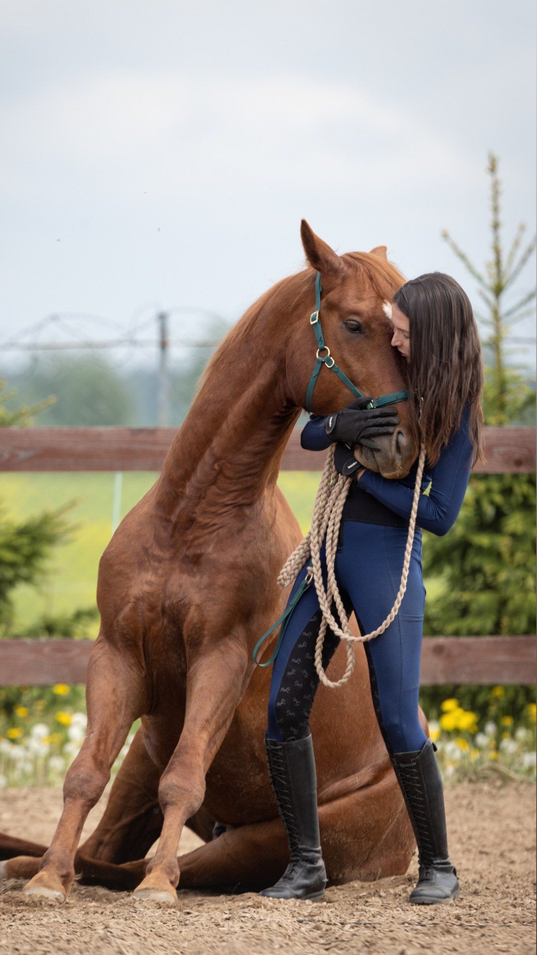 Жеребец воспитанный по методу Саши Твердой