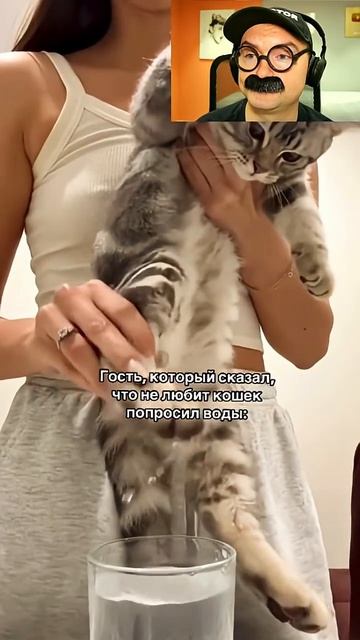 Вода для хейтера кошек смотреть онлайн