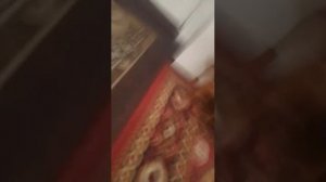 закрытые двери