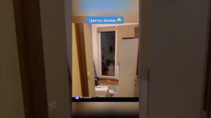 Приколы😂🤣🤪