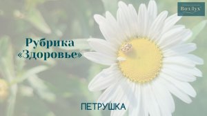 Петрушка | Здоровье | Татьяна Бекаревич