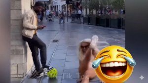 САМЫЕ СМЕШНЫЕ РЖАЧНЫЕ ВИДЕО №2