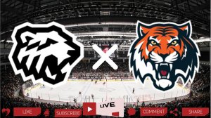 Трактор - Амур | Текстовая трансляция