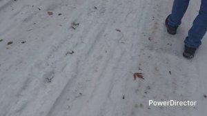 Покупки / С мужем выбираем подарок внуку/Гигантский виноград/ Купили мультиварку/Внучок поблагодарил