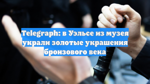 Telegraph: в Уэльсе из музея украли золотые украшения бронзового века