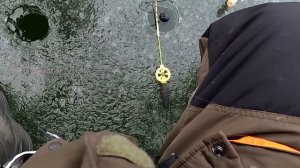 Капризная рыба предпочитает поплавок. Рыбалка на р. Ока