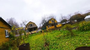 Садово-товарищеские полёты.