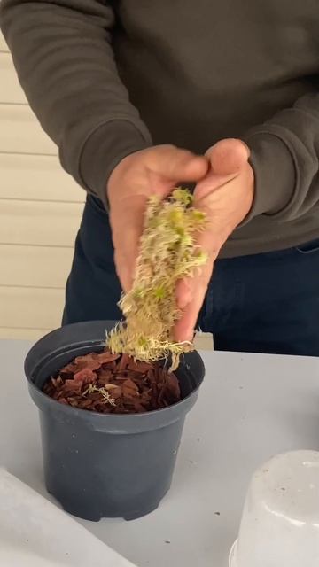 Продажа грунта на Озон? смотреть онлайн