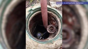 2025_11_20_Новости глав