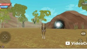 WildCravt. #Shorts.Edit