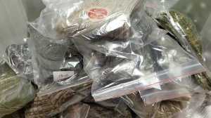 Продолжаем работать 13 ноября 2025 г.