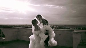 Свадебный ролик Сергея и Кристины 23/08/2025