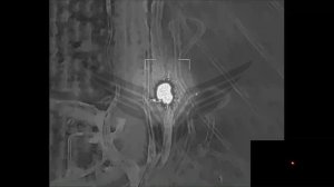 Сумское направление. Zala «Рубикона» обнаружила мобильную зенитку, после по цели ударил «Ланцет»