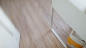 Утренний влоги с крысами ❤️