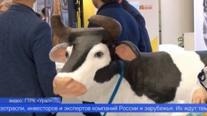 Довести объём производства молока до миллиона тонн планируют свердловские аграрии к 2030 году