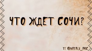 Что ждет Сочи? Перевод в статус федеральной территории.