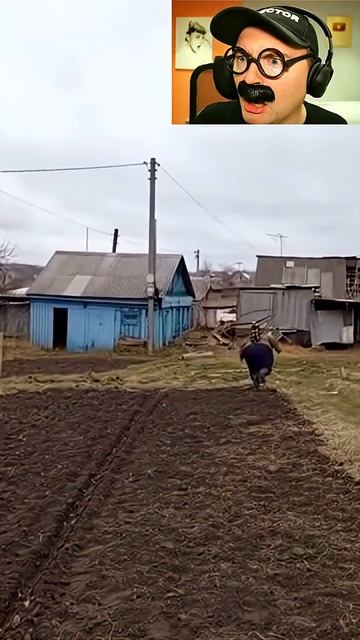 Внучка Карлсона смотреть онлайн