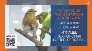 КУДА ПОЙТИ НА ВЫХОДНЫХ?, 20.11.2025