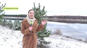 Жители садового товарищества под Тутаевом встали на защиту любимого леса