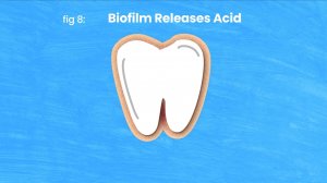 Влияние фтора на наши зубы