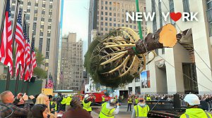 Установка Новогодней елки у Рокфеллер центра. Новогодняя атмосфера в Нью-Йорке. США