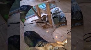 1000040730.mp4 (Собака смотрит на монтаж э/проводки (планирование э/розеток, э/выкл.) в доме А-фрем)