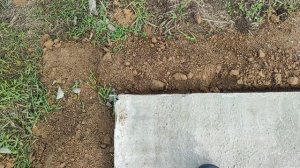 Дом мечты. 74 день