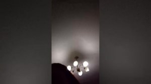 делаю уроки, играю в ноут