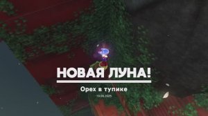 Орех в тупике