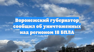 Воронежский губернатор сообщил об уничтоженных над регионом 18 БПЛА