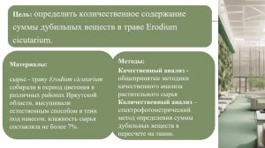Фитохимический анализ травы журавельника цикутового флоры Восточной Сибири