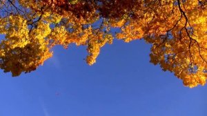 Почему 20 ноября - Настоящая точка перехода.