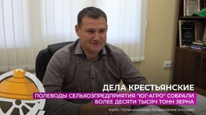 Полеводы предприятия "Юг-агро" собрали более десяти тысяч тонн зерна