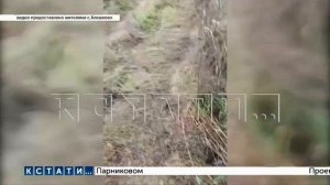 Выпуск новостей программы "Кстати" от 11.11.2025 г.