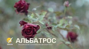 #Анапа Ореховая роща🌞 блогер Альбатрос, 16 ноября 2025 года