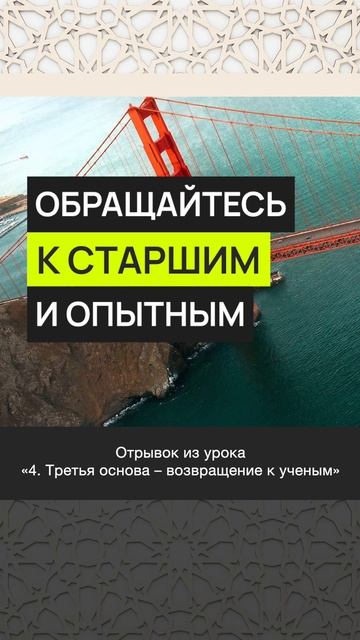 Обращайтесь к старшим и опытным || Марсэль абу Али #ислам #коран #сунна