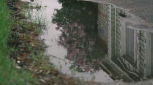 Век другими глазами